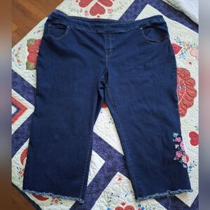 Pioneer Woman Women's 3X/22W Embroidered Capris 24" Inseam Pull Jean Capris Exce
